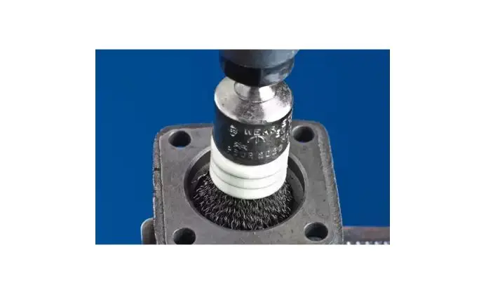 164066-pferd-530993-pbur-2022-6-st-0-35-02