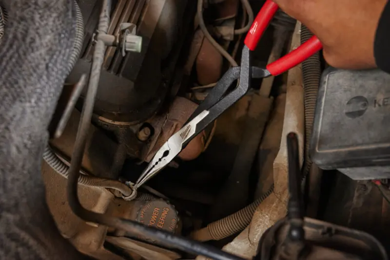 165137-4932492499-app-1