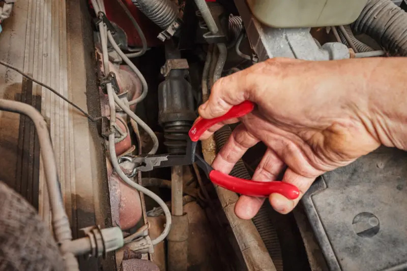 165172-4932492503-app-4