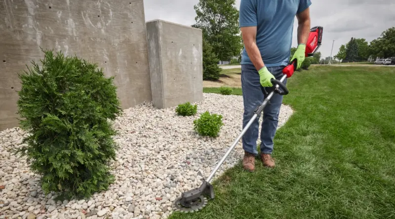 166122-mi4932492669-1