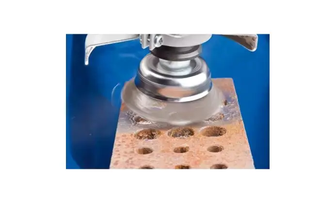 169674-pferd-579121-tbg-65-m14-st-0-50-03