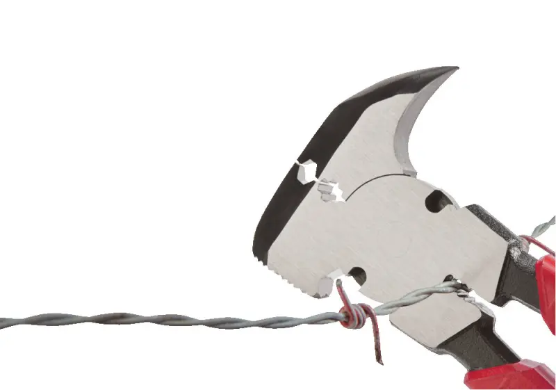 171874-4932493926-feat-1