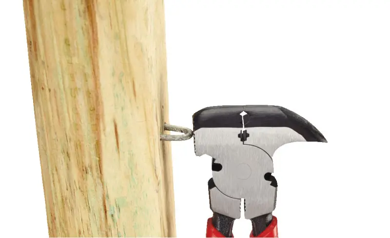 171874-4932493926-feat-5