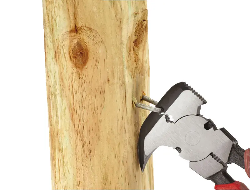 171874-4932493926-feat-6