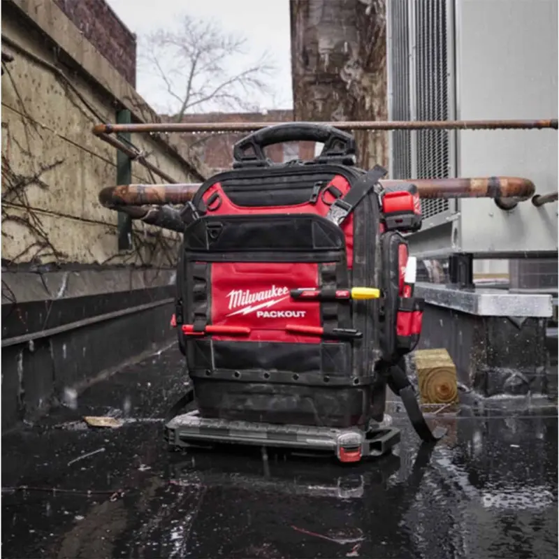 173381-mi4932498633-09