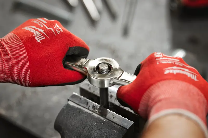 173659-4932498721-01