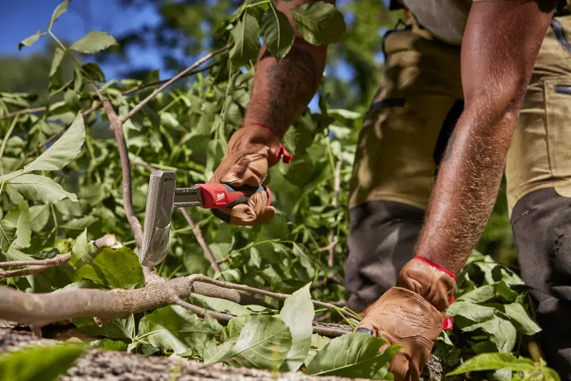 174060-4932499031-01