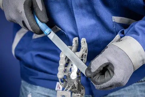 179330-pferd-669471-cor-800-250-h0-03