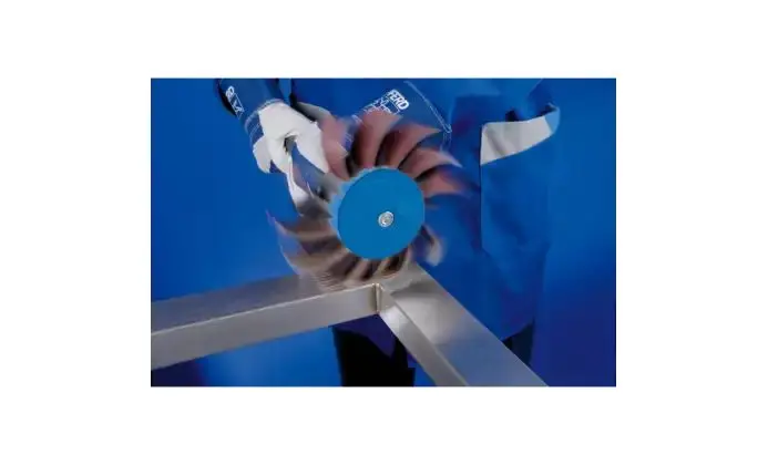 180159-pferd-725405-pfl-17060-12-2