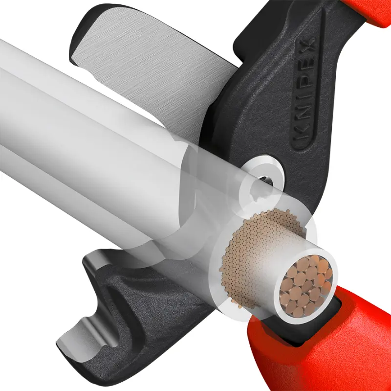 181914-9512225-00-f-a-01