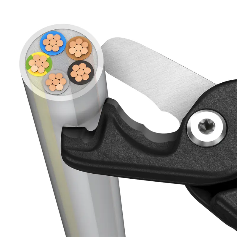 181914-9512225-00-f-a-02