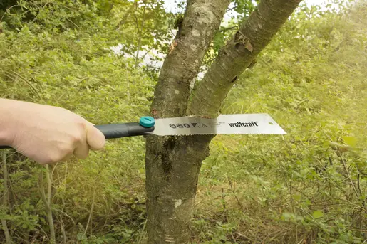 184857-6951000-pro-aw-pho-lsc-030