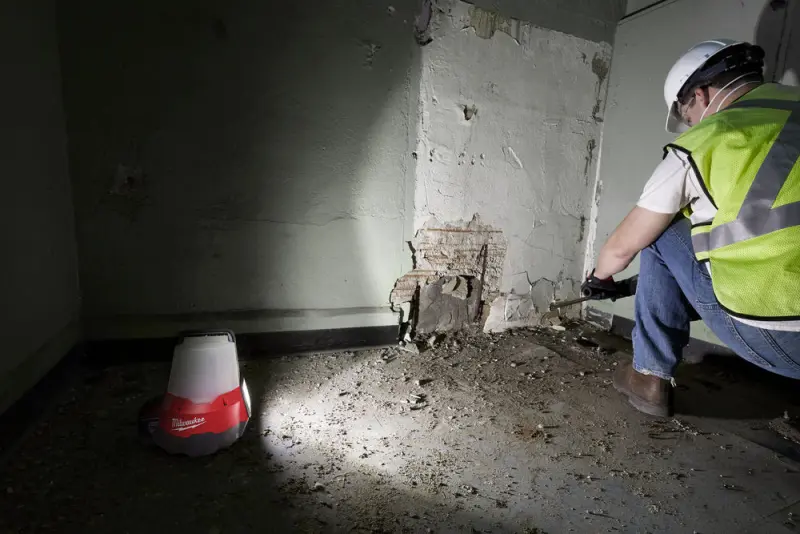 184954-4933464134-m18-tal-0-app-2