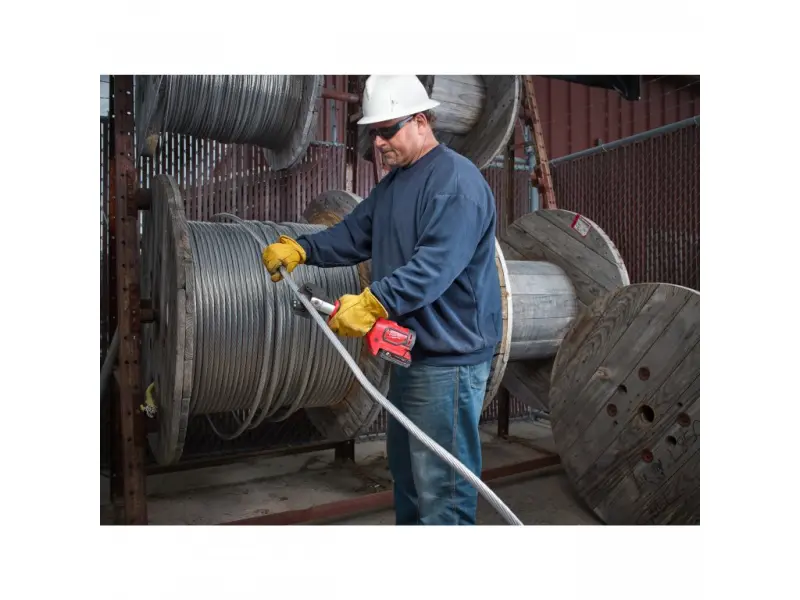 185129-4933464300-02