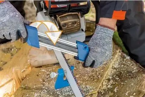 186460-pferd-943731-cs-x-3-2-03