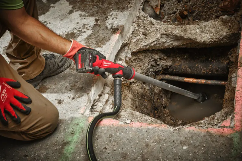 189623-4933479639-11