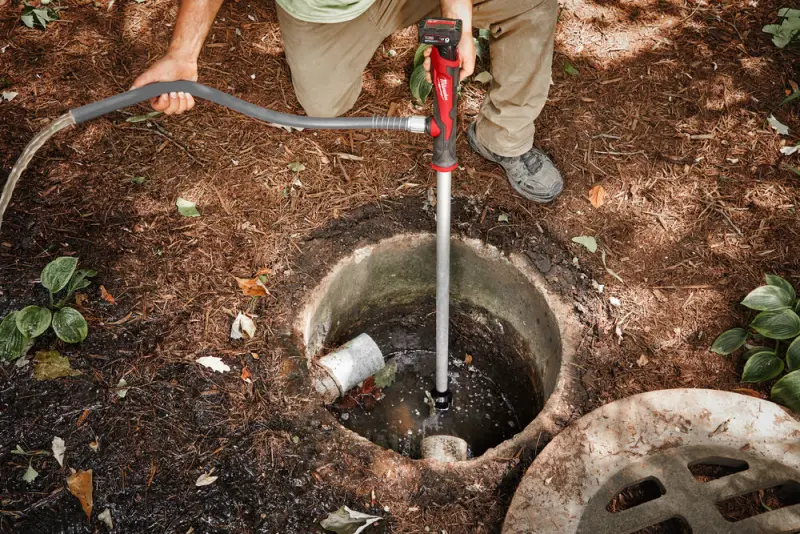 189623-4933479639-15