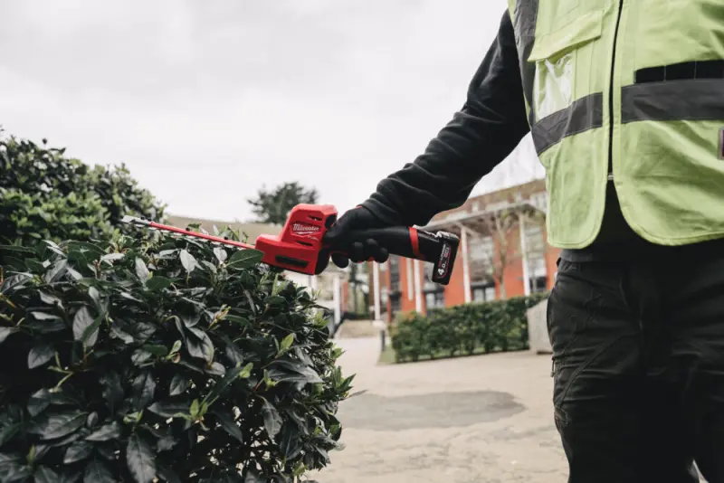 189662-mi4933479676-m12-fht20-402-app-3