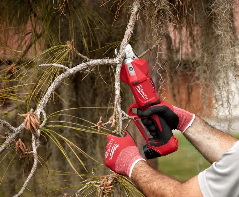 190032-nuzky-0-1-0-2