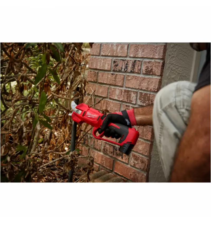 190037-4933480115-04