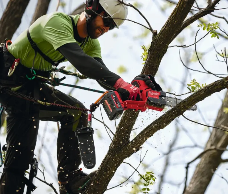 190050-mi4933480118-2