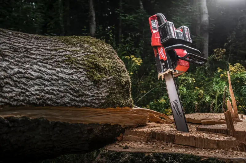 190064-mi4933480121-3