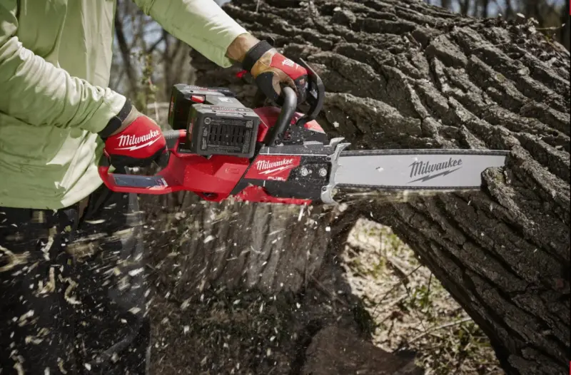 190064-mi4933480121-7