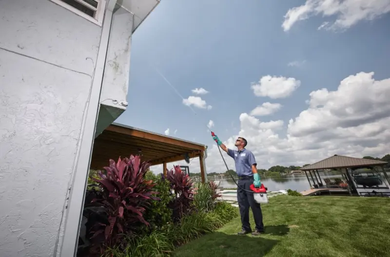 190190-mi4933480781-3