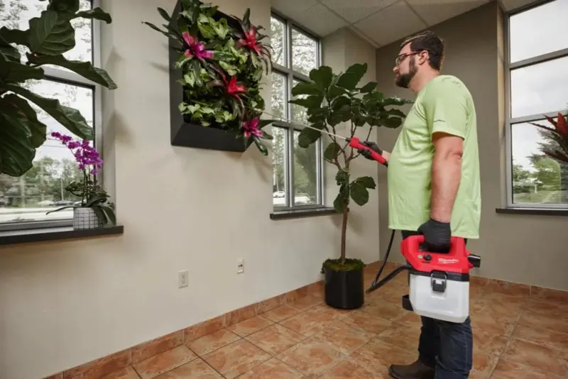 190190-mi4933480781-5