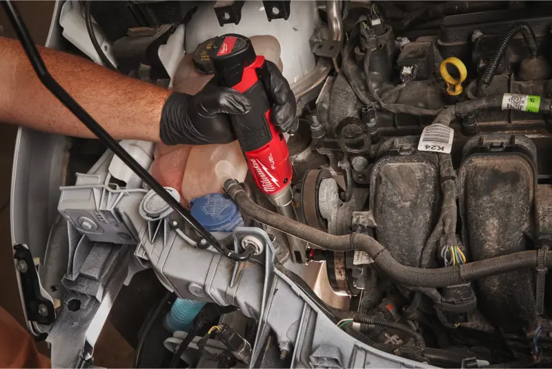 190204-4933480791-02