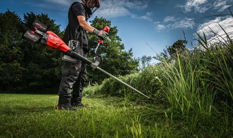 190212-4933480860-04