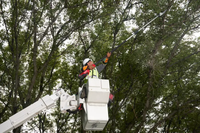 Aku teleskopická řetězová prořezávací pila Milwaukee M18 FTPS30-121, lišta 30 cm, 1x Aku M18 HB12 + nabíječka M12-18 FC, 4933480869 (MI4933480869)