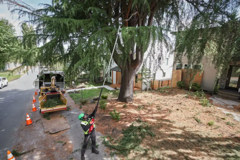 Aku teleskopická řetězová prořezávací pila Milwaukee M18 FTPS30-121, lišta 30 cm, 1x Aku M18 HB12 + nabíječka M12-18 FC, 4933480869 (MI4933480869)
