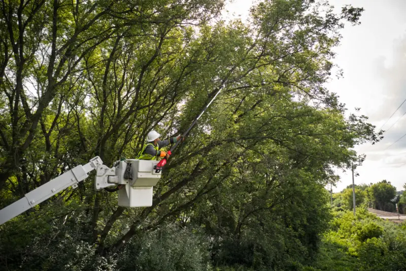 Aku teleskopická řetězová prořezávací pila Milwaukee M18 FTPS30-121, lišta 30 cm, 1x Aku M18 HB12 + nabíječka M12-18 FC, 4933480869 (MI4933480869)