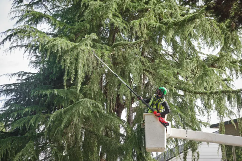 Aku teleskopická řetězová prořezávací pila Milwaukee M18 FTPS30-121, lišta 30 cm, 1x Aku M18 HB12 + nabíječka M12-18 FC, 4933480869 (MI4933480869)