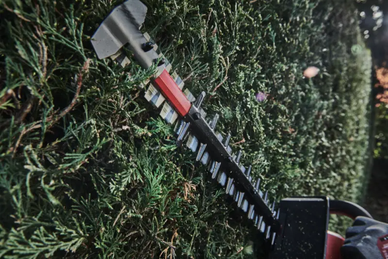 191295-4933493293-m18-fhet45-0-app-4