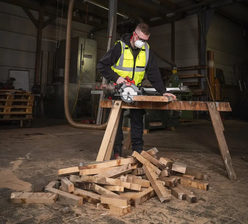 191541-kotoucova-pila-04