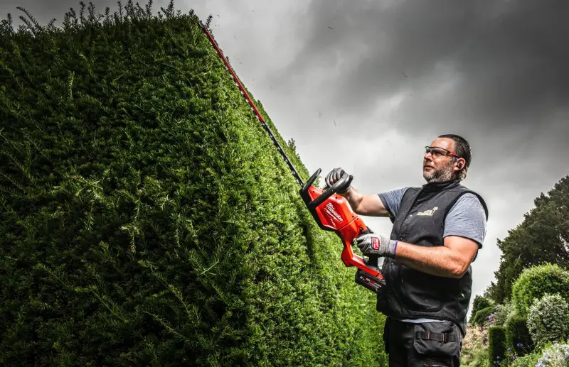 192156-4933498388-02