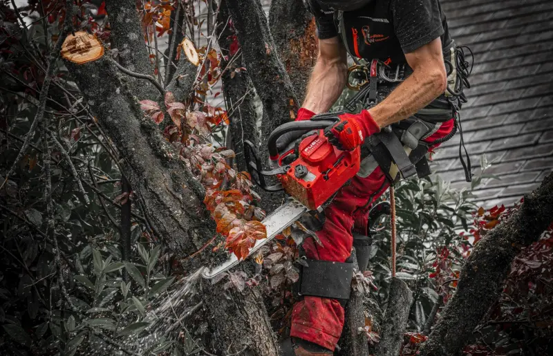 Aku řetězová pila Milwaukee M18 FTHCHS30-802, lišta 30 cm, 2x Aku M18 FB8 + nabíječka M12-18 FC, 4933499221 (MI4933499221)