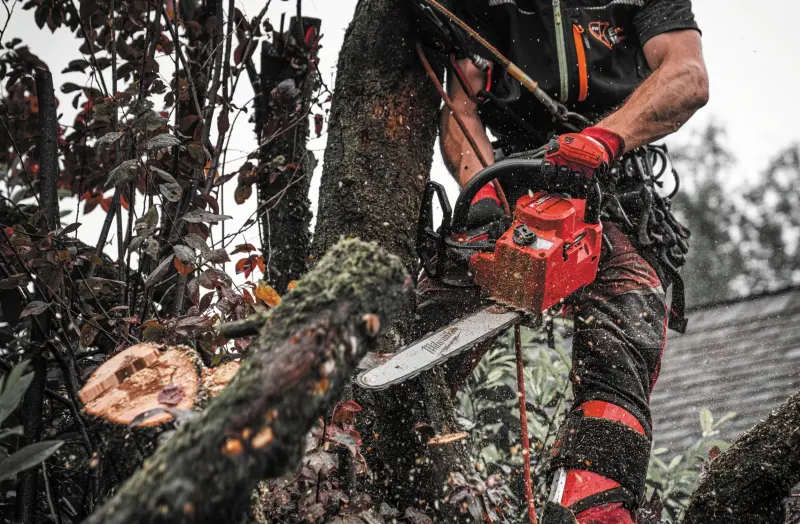 Aku řetězová pila Milwaukee M18 FTHCHS30-802, lišta 30 cm, 2x Aku M18 FB8 + nabíječka M12-18 FC, 4933499221 (MI4933499221)