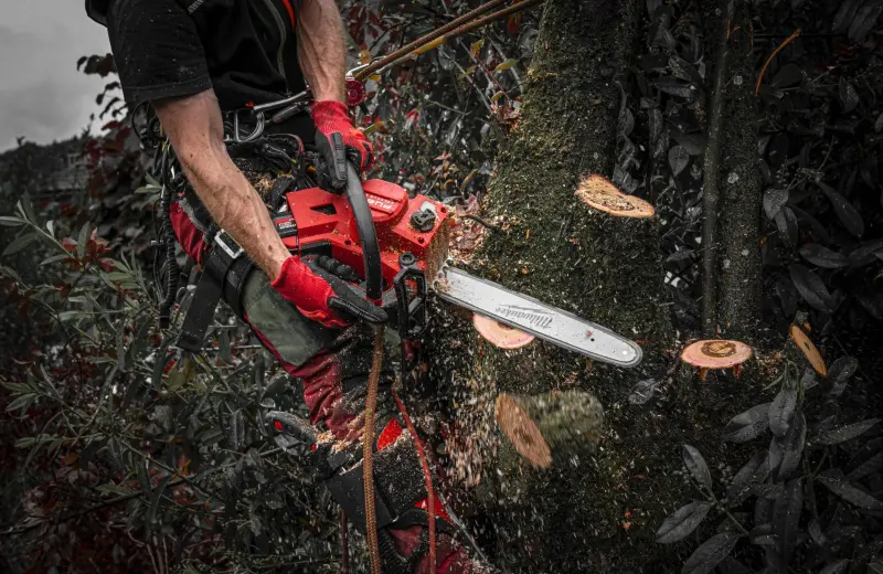 Aku řetězová pila Milwaukee M18 FTHCHS30-802, lišta 30 cm, 2x Aku M18 FB8 + nabíječka M12-18 FC, 4933499221 (MI4933499221)