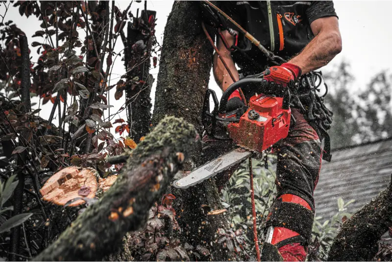 Aku řetězová pila Milwaukee M18 FTHCHS35-802, lišta 35 cm, 2x Aku M18 FB8 + nabíječka M12-18 FC, 4933499222 (MI4933499222)