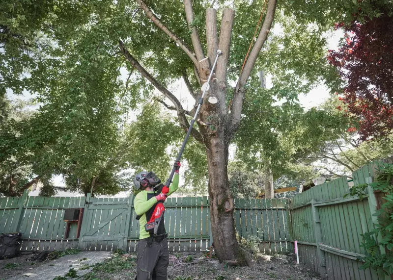 192380-4933499227-02