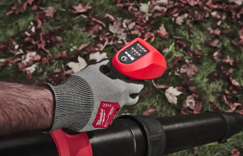 192388-4933499231-06