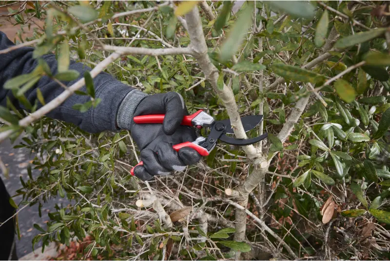 Zahradní nůžky Milwaukee 25 mm, 4932498621