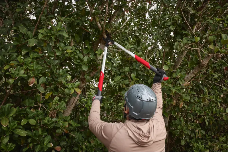 Nůžky na větve Milwaukee s přímým střihem 50 mm