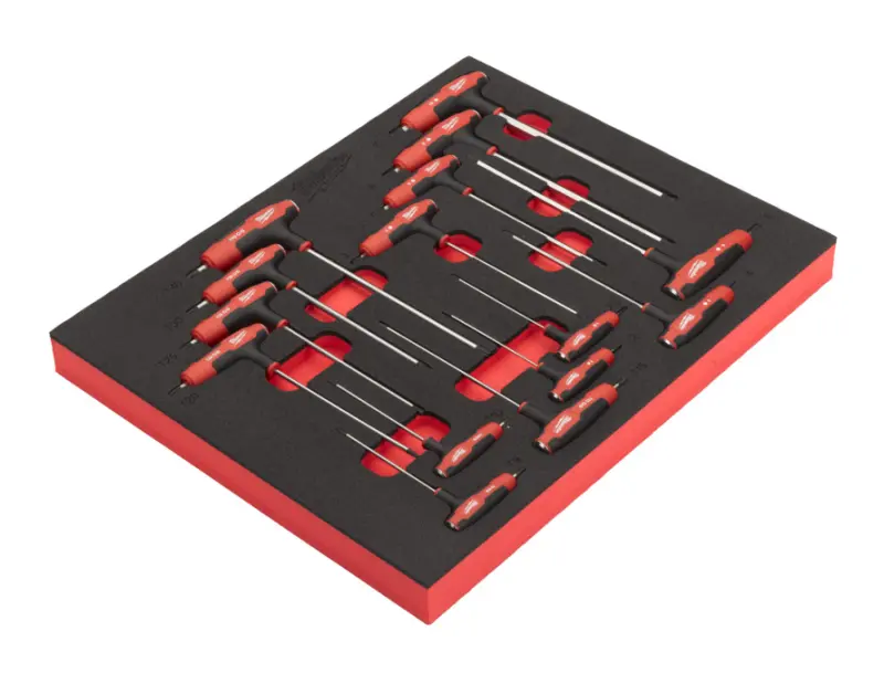 Smíšená sada T-klíčů HEX a Torx v pěnové vložce, 4932501233