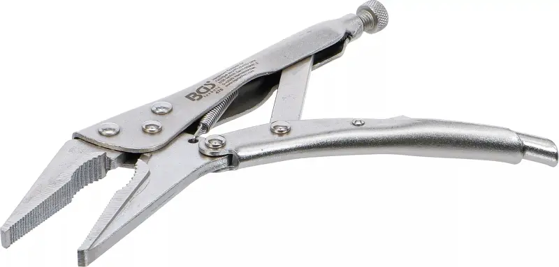 Samosvorné upínací kleště Grip 225 mm BGS100475, dlouhé čelisti (BGS100475)