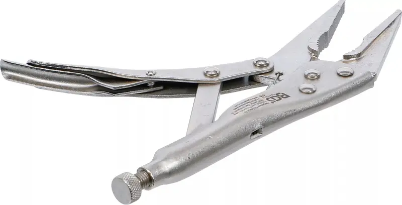 Samosvorné upínací kleště Grip 225 mm BGS100475, dlouhé čelisti (BGS100475)