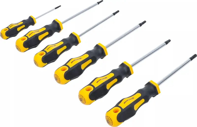 Šroubováky Kraftmann T-profil (pro Torx) T10 ÷ T30 BGS1035826 Sada 6 dílů (BGS1035826)